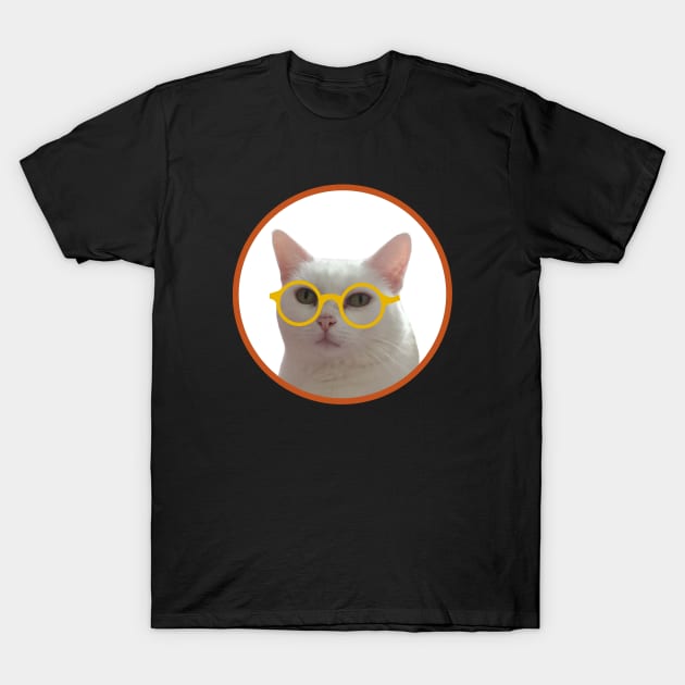 Kitten wearing glasses T-Shirt by DiegoCarvalho